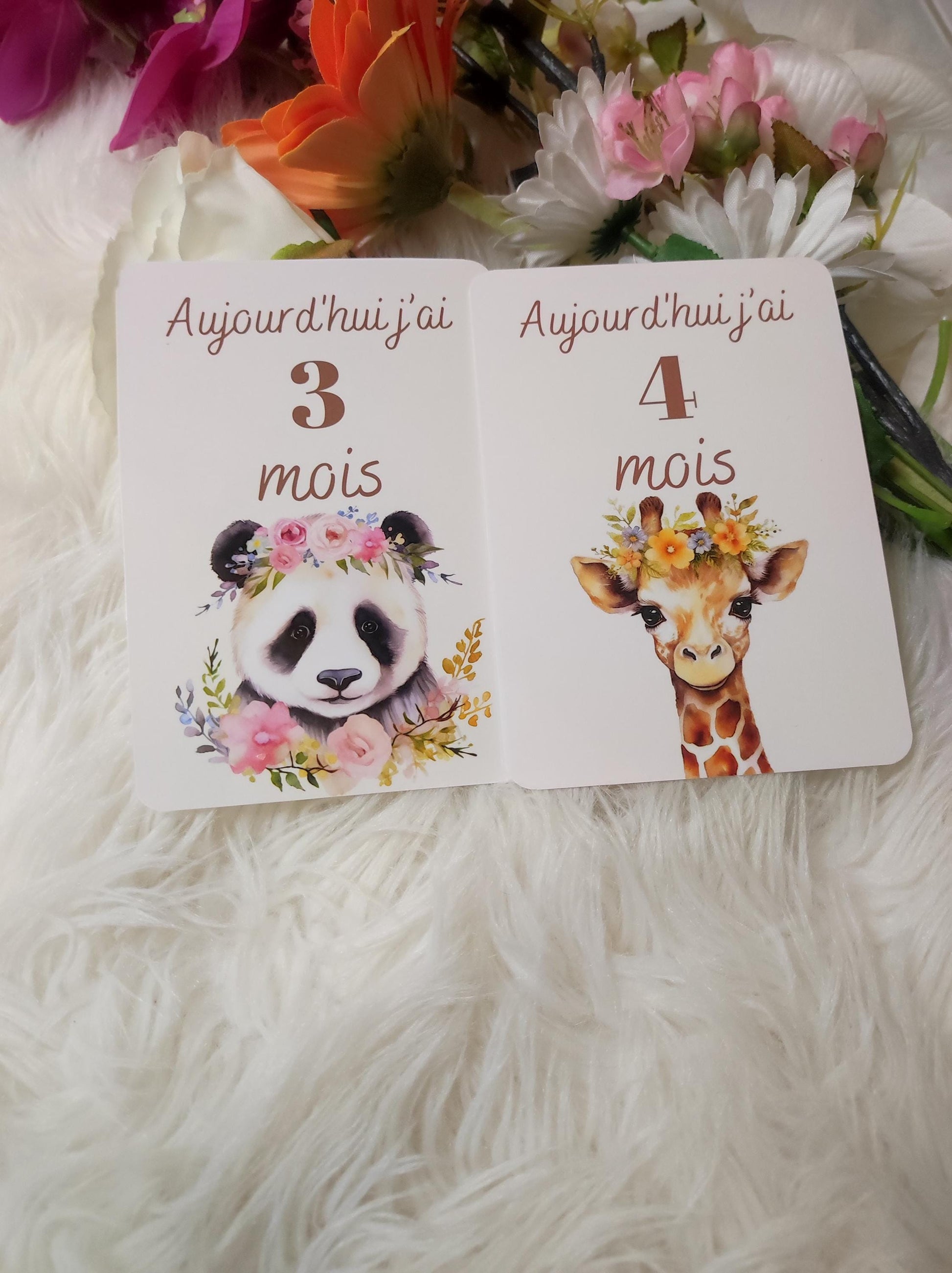 Carte étape bébé - 12 mois - naissance bébé - cadeau de naissance.